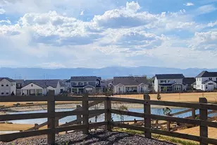 5531 Teeling Ct, Timnath, CO 80547 - Photo 3