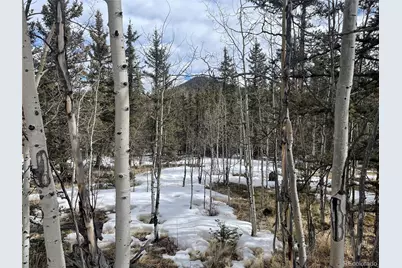 80 Haida Way, Jefferson, CO 80456 - Photo 25