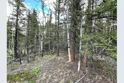 80 Haida Way, Jefferson, CO 80456 - Photo 13