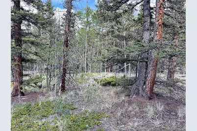 80 Haida Way, Jefferson, CO 80456 - Photo 5