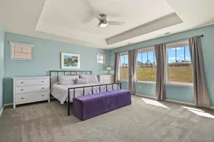 3294 Sellman Loop, Castle Rock, CO 80109 - Photo 29