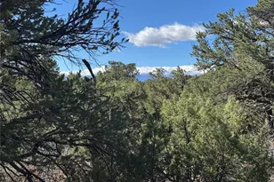 Tr-143 18th Trail, Cotopaxi, CO 81223 - Photo 1