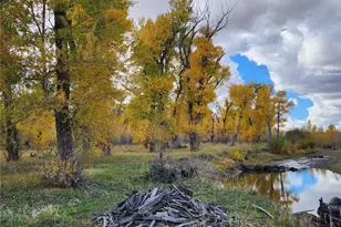 12753 13 5, Antonito, CO 81120 - Photo 37