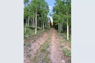 3 & 4 Cooper Jury Ln Tract 3 & 4 Avenue, Antonito, CO 81120 - Photo 17