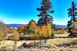 74 Antelope Cir, Como, CO 80456 - Photo 1