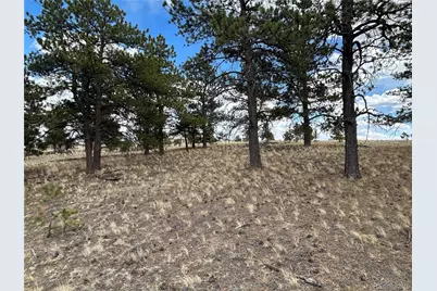 565 Brahma Circle, Hartsel, CO 80449 - Photo 1