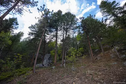 9489 S Turkey Creek Road, Morrison, CO 80465 - Photo 5