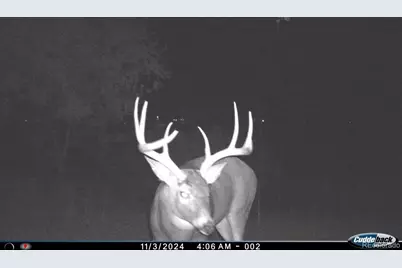 4791 County Road 24 3/4, Longmont, CO 80504 - Photo 5