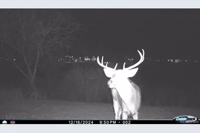 4791 County Road 24 3/4, Longmont, CO 80504 - Photo 21