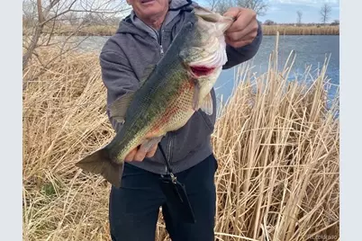 4791 County Road 24 3/4, Longmont, CO 80504 - Photo 3