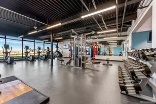 4063 Descent St, Castle Rock, CO 80108 - Photo 33