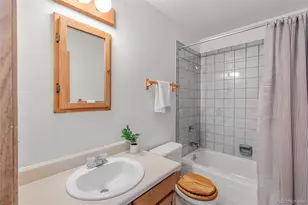 10000 Ryan Gulch Rd, Silverthorne, CO 80498 - Photo 21