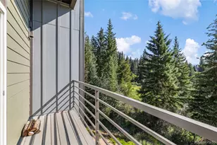 10000 Ryan Gulch Rd, Silverthorne, CO 80498 - Photo 13
