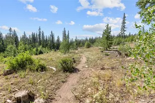 10000 Ryan Gulch Rd, Silverthorne, CO 80498 - Photo 33