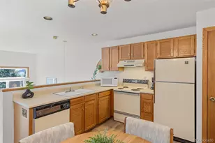 10000 Ryan Gulch Rd, Silverthorne, CO 80498 - Photo 15