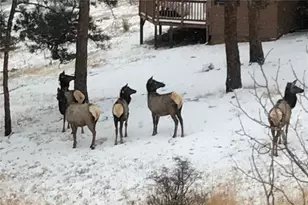 829 Co Rd 72, Bailey, CO 80421 - Photo 25