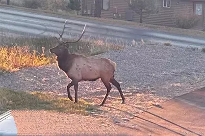 829 County Road 72, Bailey, CO 80421 - Photo 43