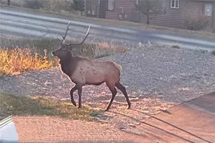 829 Co Rd 72, Bailey, CO 80421 - Photo 43