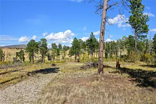 2110 Sigler Dr, Fort Garland, CO 81133 - Photo 43