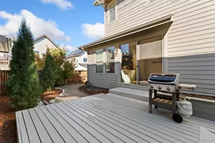 5853 Alton St, Denver, CO 80238 - Photo 33