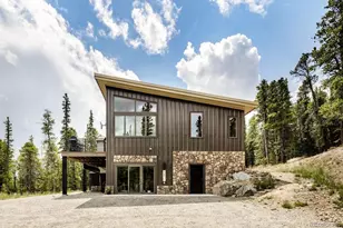 125 Puma Pl, Fairplay, CO 80440 - Photo 1