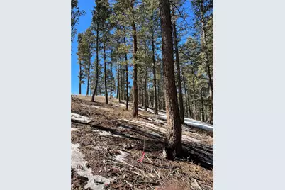 7871 Gold Rush, Morrison, CO 80465 - Photo 3