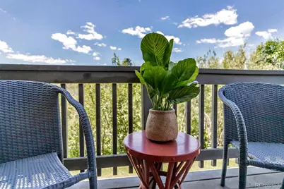 1135 S Gilbert Street #103, Castle Rock, CO 80104 - Photo 7