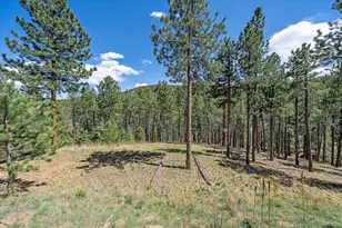 32160 Aspen Meadow Dr, Evergreen, CO 80439 - Photo 5