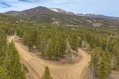 30406 National Forest Drive, Buena Vista, CO 81211 - Photo 1