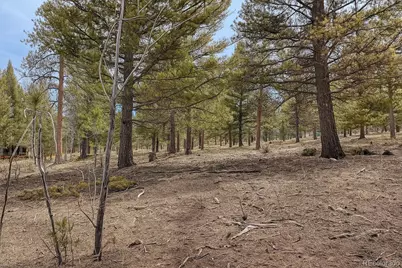 30406 National Forest Drive, Buena Vista, CO 81211 - Photo 15