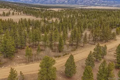 30406 National Forest Drive, Buena Vista, CO 81211 - Photo 13