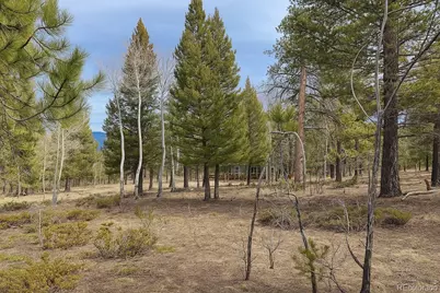 30406 National Forest Drive, Buena Vista, CO 81211 - Photo 17