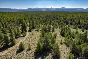 12340 US Hwy 24, Leadville, CO 80461 - Photo 15