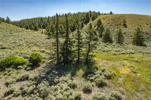 12340 US Hwy 24, Leadville, CO 80461 - Photo 11