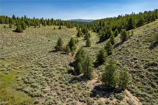 12340 US Hwy 24, Leadville, CO 80461 - Photo 13