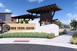 698 Punter St, Erie, CO 80516 - Photo 15