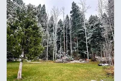 394 Tixier Ramirez Circle, Antonito, CO 81120 - Photo 27