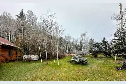 394 Tixier Ramirez Circle, Antonito, CO 81120 - Photo 23
