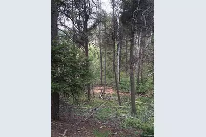 13499 S Firedog Way, Larkspur, CO 80118 - Photo 5