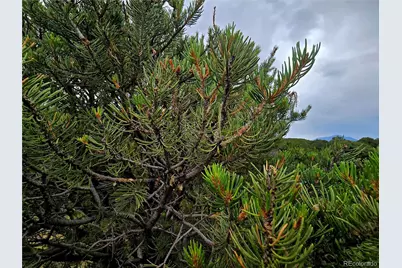 Lot 97 Phase #4 River Ridge Ranch, Walsenburg, CO 81089 - Photo 15