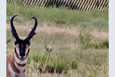 Lot 97 Phase #4 River Ridge Ranch, Walsenburg, CO 81089 - Photo 3