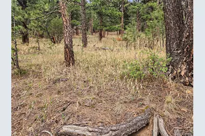6078 Lone Peak Drive, Evergreen, CO 80439 - Photo 19