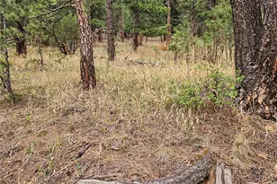 6078 Lone Peak Dr, Evergreen, CO 80439 - Photo 19
