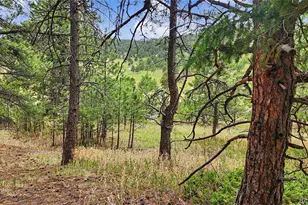 6078 Lone Peak Dr, Evergreen, CO 80439 - Photo 7