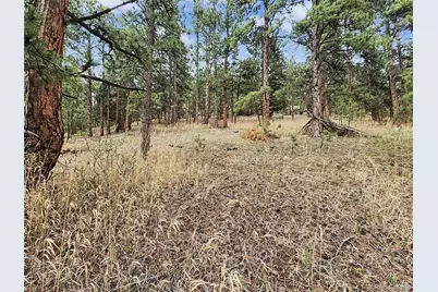 6078 Lone Peak Drive, Evergreen, CO 80439 - Photo 15