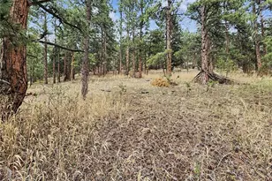 6078 Lone Peak Dr, Evergreen, CO 80439 - Photo 15