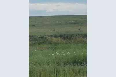 10183 Rolling Vista Trail, Elizabeth, CO 80107 - Photo 7