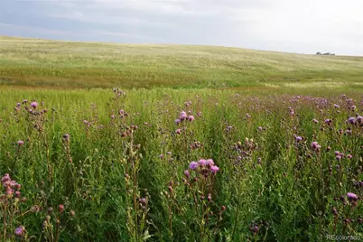 10183 Rolling Vista Trail, Elizabeth, CO 80107 - Photo 5