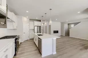 13340 Finnhorse Cir, Parker, CO 80134 - Photo 9