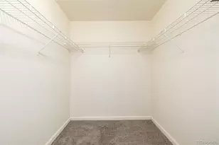 4608 Copeland Loop, Highlands Ranch, CO 80126 - Photo 25